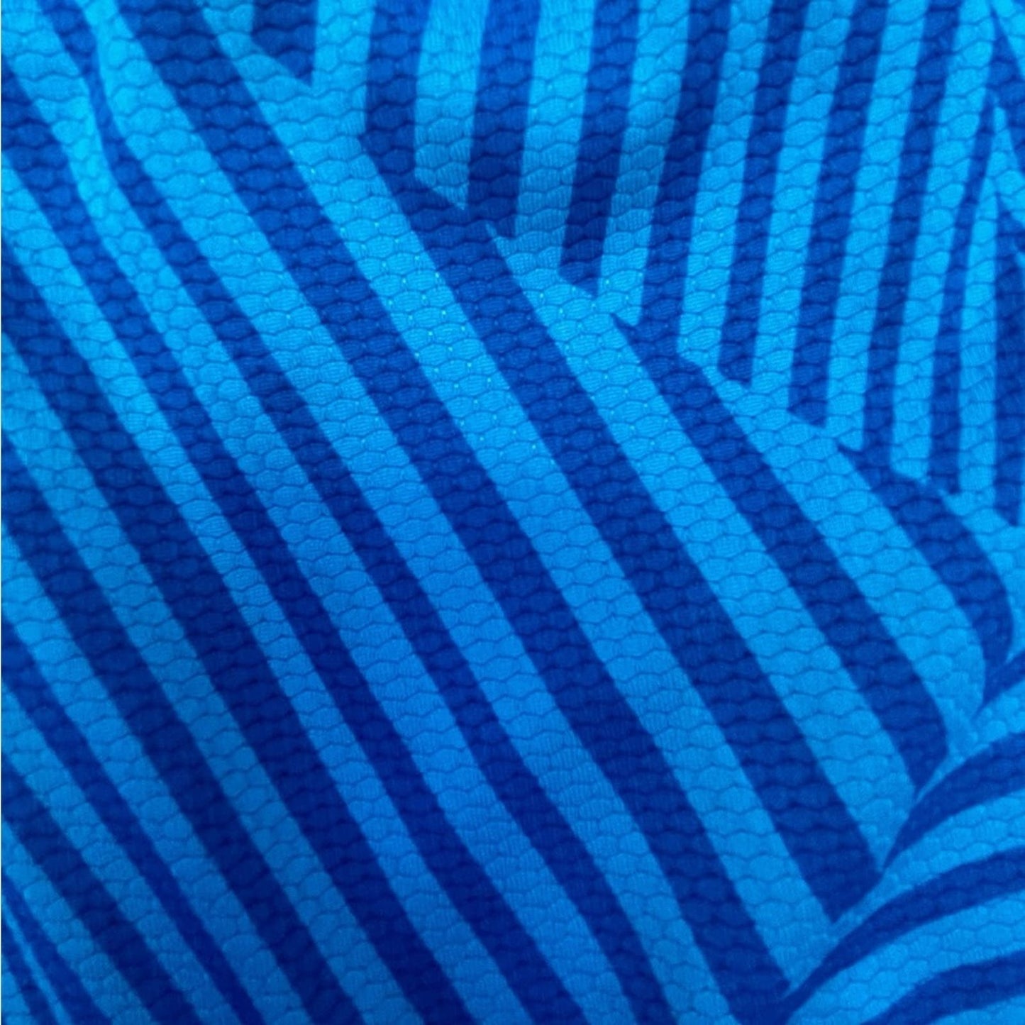 Reebok Blue with Zig Zag Print Shorts